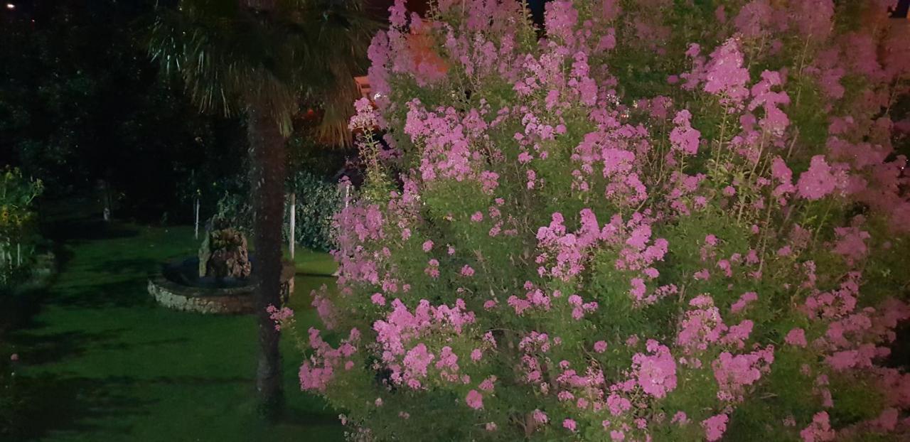 Rooms Rafomarija Medugorje Bagian luar foto